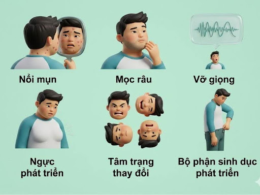 tuổi dậy thì ở nam
